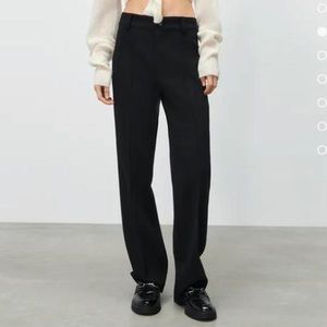 Zara the Francoise full length straight leg pants